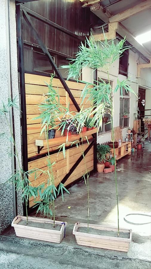 Chen The House Apartment Qingshui Luaran gambar